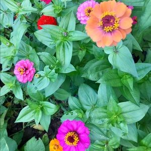 Meet your Posher, Marina